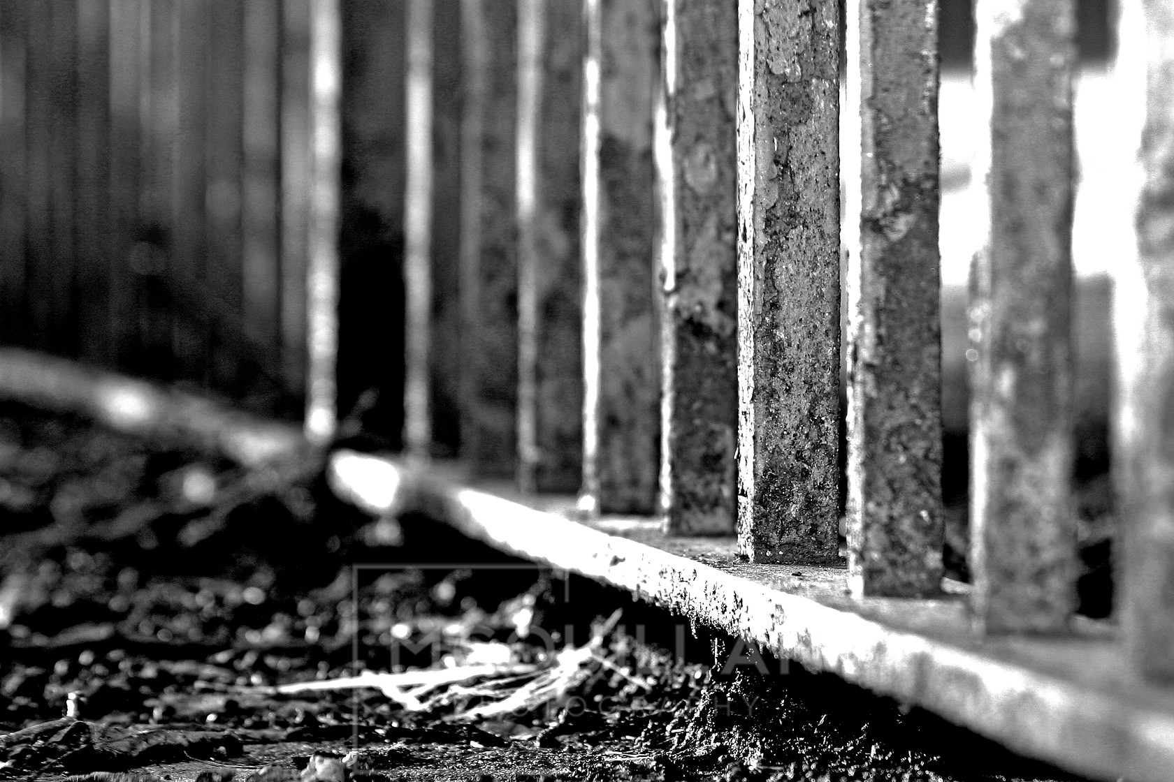 railings 
 Keywords: railings,abstract,modern,detail,arty,shadow,building,curves,lines,texture,stone,pillar,column,floor