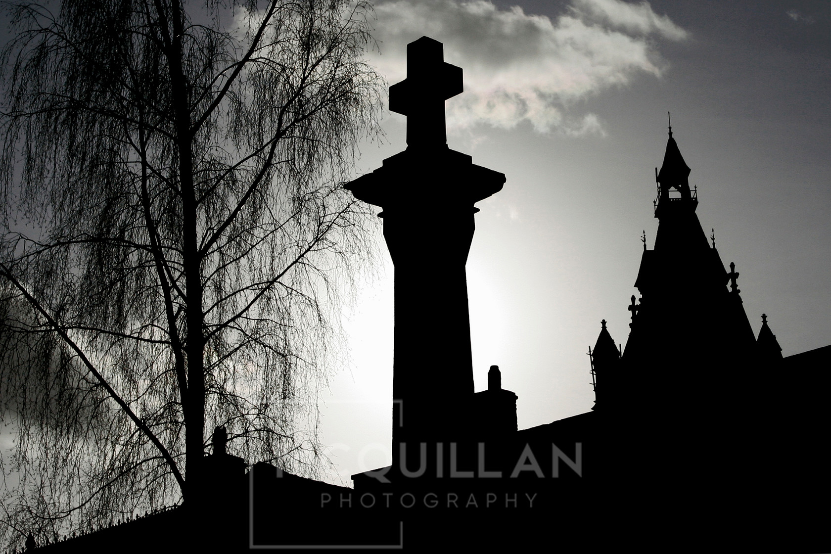 Gothic 
 Keywords: Cathedral,gothic,goth,cross,buildings,tree,abstract,modern,detail,arty,shadow,building,curves,lines,texture,black,contrast,dark